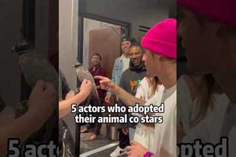 5 actors who adopted their animal co stars #celebrity #shortvideo