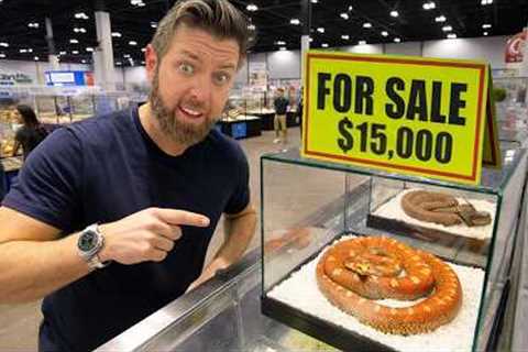 Private Tour Of the World's Most Expensive Pet Show
