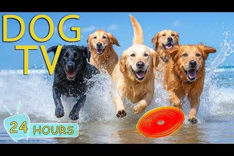 DOG TV: Video Anti-Anxiety Entertain for Dogs All Day When Home Alone - Best Relax Music for Dogs