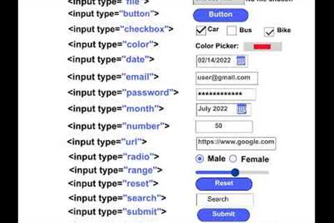 HTML Input Tags List Tutorial For Beginners (Web Development)