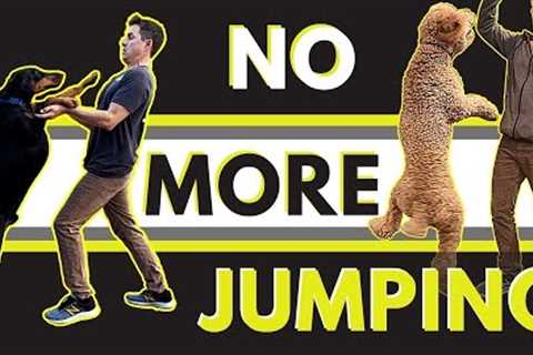 Super simple way to stop a dog from jumping.