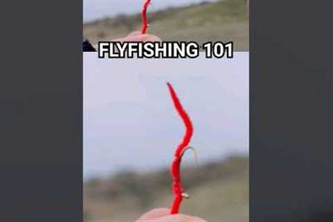What Is a Fishing Fly? 🤔 #fishing #flyfishing #humor