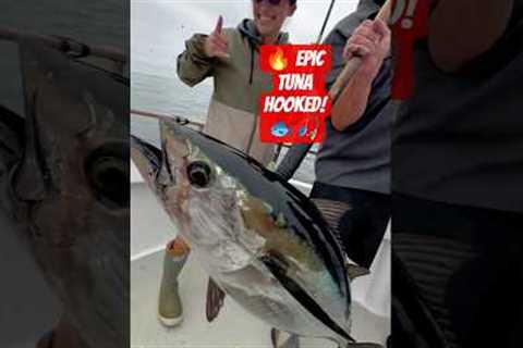 Adventure Tuna Hook Fishing 🎣 | Deep Sea Big Catch #shorts #fishing #usa #shortsfeed