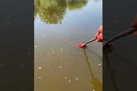 Red Liquid High Concentration Fish Bait for Trout Cod Carp Bass Strong Fish Attractant