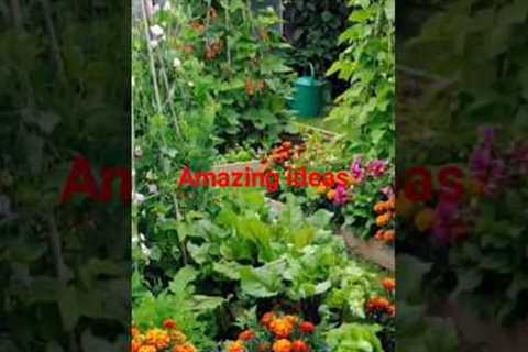 gardening tips for beginners #garden #gardening #gardening tips and ideas# gardening for beginners