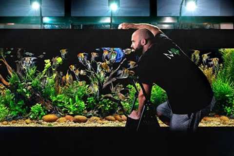 I Added Over 100 FISH into My Huge Ecosystem Aquarium