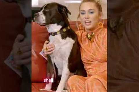 Celebrities and Their Animal Besties