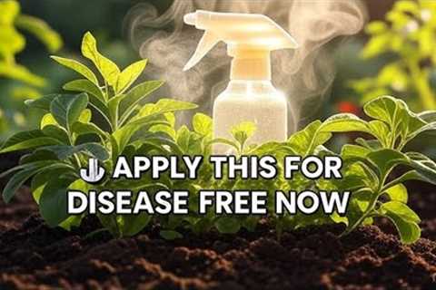 🛑 STOP Plant Diseases ! 7 Proven Organic Sprays From Your Pantry