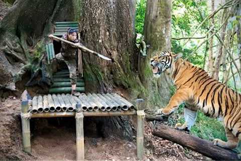 Wild animals attack, build new shelter in tree hollow, survive in the wild, survival alone