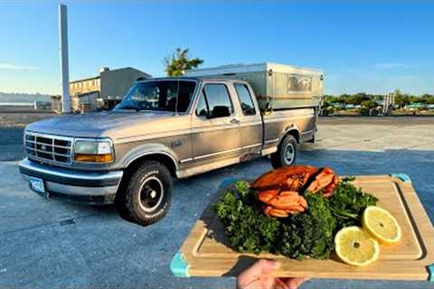 Eating LIke a King for Free - Truck Camping W/ Dungeness Crab