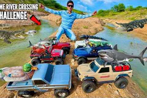RC Car Rescues Trapped RC Water Animals - Chatpat toy TV