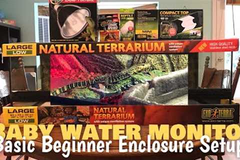 Baby Asian Water Monitor Setup | Basic Beginner Enclosure