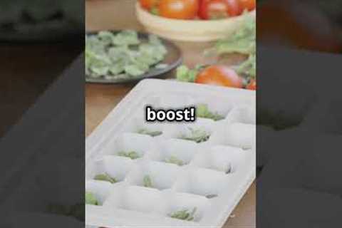5 Cooking Hacks You Need to Know! #trending #facts #hack