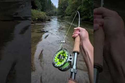 On today’s episode of river monsters #flyfishing #kingsalmon #chinooksalmon  #trout