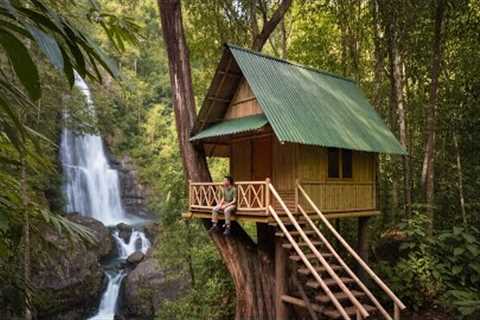 Building A Tree House Fast - Survival Camping and Cook, Relax with Tree House