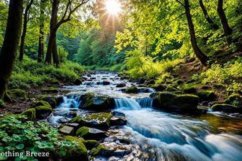 Healing Harmony: Music for the Heart 🌿 Relaxing music to reduce stress