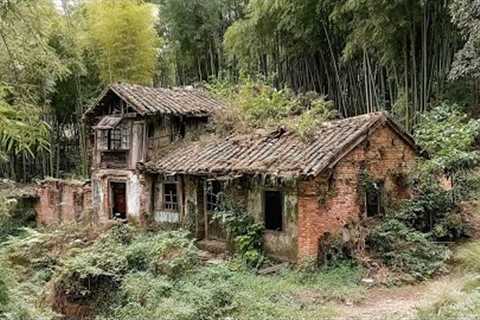 A Man Restored an Abandoned House and Created a Beautiful Garden in the Forest