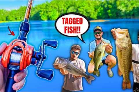 1v1v1 TROPHY Bass Pond Fishing Challenge (RARE Tagged Fish!!)