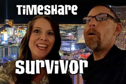 How to Survive a Timeshare Presentation 🚫⌛