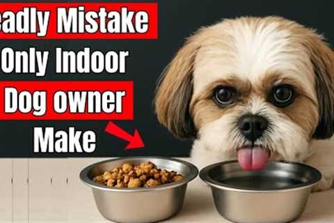 If You’re an Indoor Dog Owner, Stop Making THESE Deadly Mistakes ( Vets Warn )