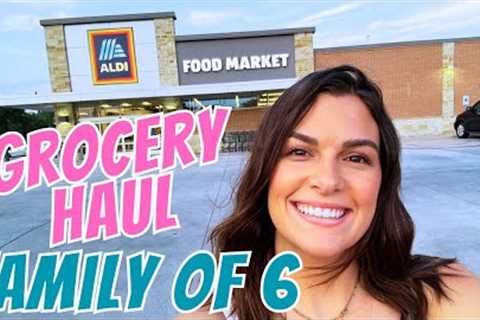 GROCERY SHOP WITH ME ON A BUDGET! ALDI GROCERY HAUL + TARGET HAUL | ALDI GROCERY HAUL ON A BUDGET