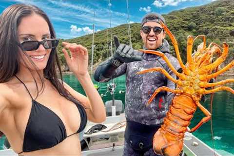 Diving for Big Crayfish in Tropical Bays - New Zealand Lifestyle Adventure 