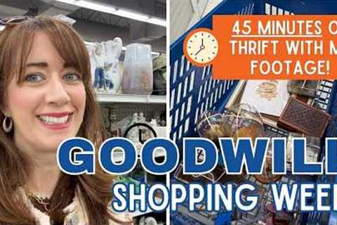 45 MINS OF THRIFTING! | 6 Goodwill Stores | Thrift with Me for Resale