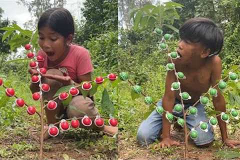 Amazing Jungle Survival With Mom &amp; Kids  Building a Secret Forest Shelter