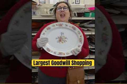 Shopping at the Biggest Goodwill Thrift Store with Dr. Lori
