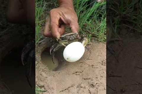 Survival Skills: SIMPLE ideas and USEFUL with CRAB 🦀 #outdoors #survival #bushcraft