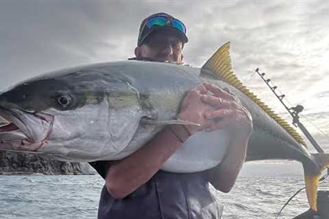 Hectic! Tuna, Thresher sharks and Big kingfish bite at the same time
