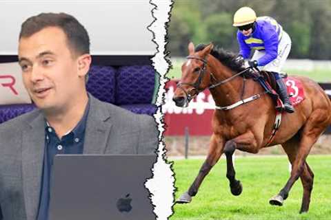 Horses to follow: four for the jumps season | Racing TV