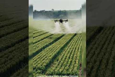 Modern Farming with Drones: Crop Fertilization Made Easy #drone #farming #rice #modern #technology