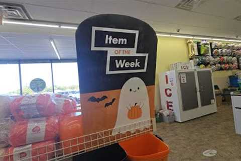 DollarTree ShopWithMe what's new and what's boo?