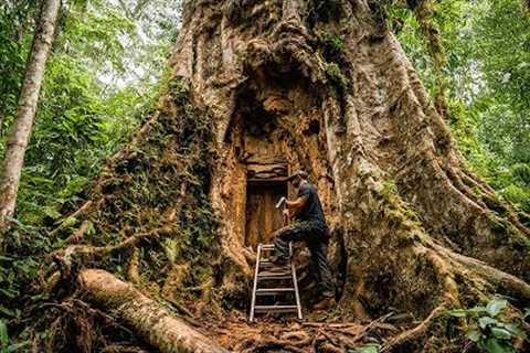 Build a Hidden Survival Shelter Inside a Giant Tree | Primitive Survival Skills