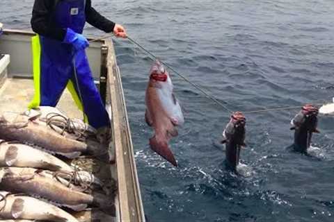 Amazing Automatic Longline Fishing Net Catch Giant Fish - Awesome big catching on the sea