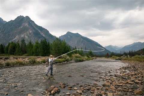 You Won’t Believe This Fly Fishing Backdrop (Wild Trout on Dry Flies!)