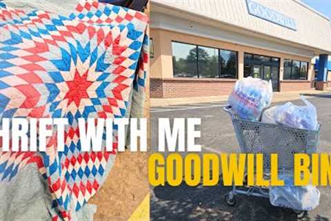 I found a cart FULL of treasures at the goodwill outlet bins today • thrift with me