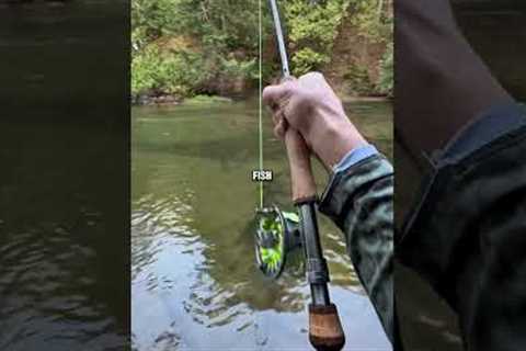 Unbelievable Michigan king salmon action #flyfishing #salmon #trout #onthefly