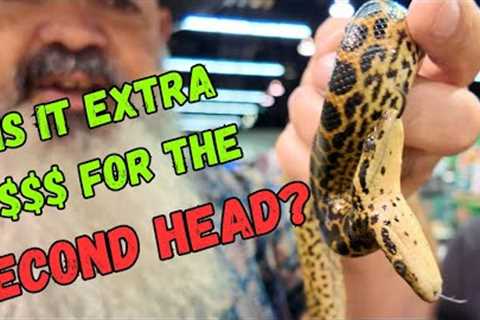 Every Reptile I TRIED to Resist Buying at the 2025 Anaheim Reptile Super Show