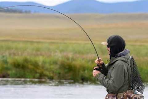 Dream Stream Fall Fishing Report| Weather outlook, Current Flows, and Hot Flies!