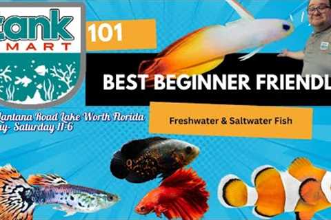 TankSmart 101 w/ Aqua Alex:  Beginner Friendly Freshwater &amp; Saltwater Fish