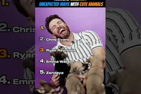 Ranking Celebrity Unexpected Ways With Cute Animals