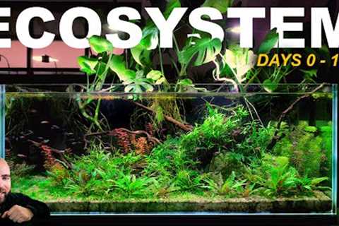 How To Make A ZERO Maintenance ECOSYSTEM Aquarium (FULL BUILD)