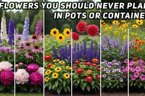 8 Flowers You Should Never Plant in Pots or Containers| Gardening Tips