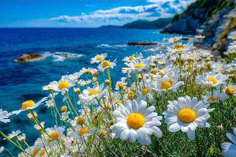 You can relax with this song🎶Healing music helps reduce stress, fatigue, and depression🍀Take a..