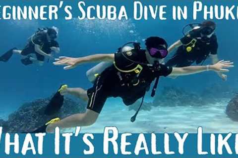 Beginner’s Scuba Dive in Phuket: What Its REALLY Like!