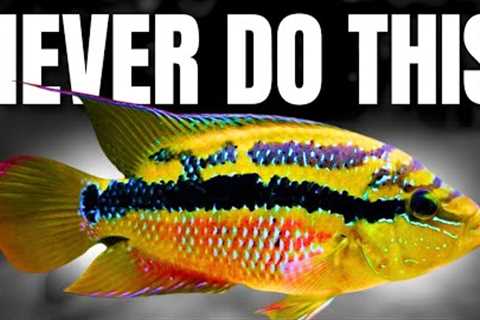 10 Aquarium Rules That Everyone Breaks