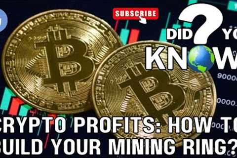 Crypto Profits: How to  Set up Build Mining Ring, Beginner’s Guide