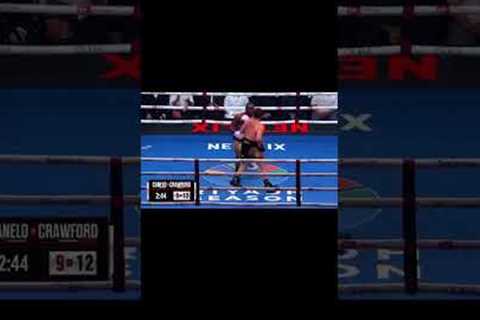 This fight was insane!!! #viral #trending #sports